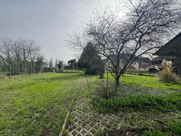 SUPERBE TERRAIN GUNDOLSHEIM