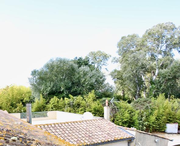 Garons (30128) Splendide Mas 600 m2, 5HA, piscine 20/4, box chevaux