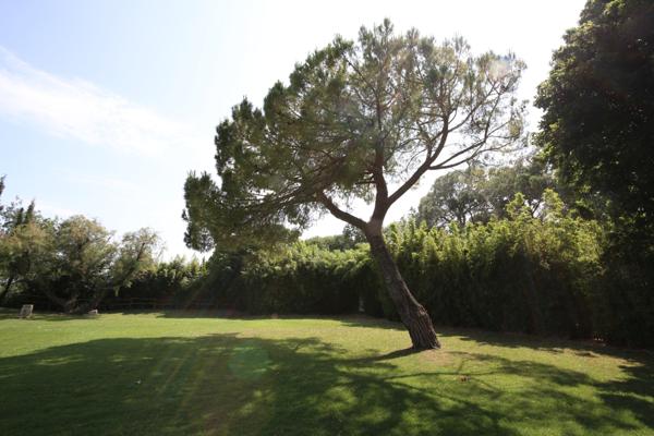 Garons (30128) Splendide Mas 600 m2, 5HA, piscine 20/4, box chevaux