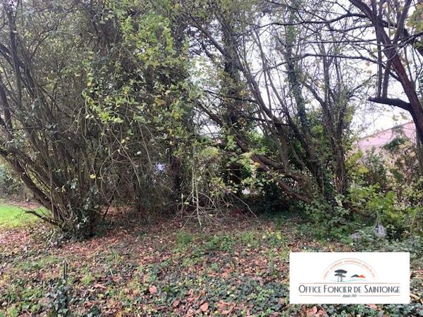 TERRAIN CONSTRUCTIBLE MEDIS