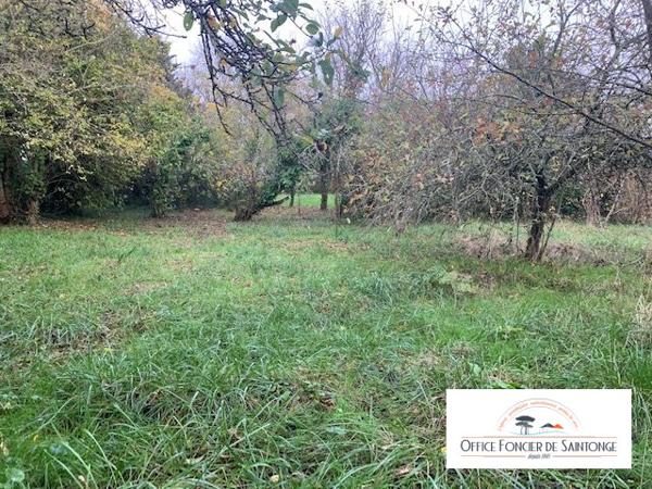 TERRAIN CONSTRUCTIBLE MEDIS