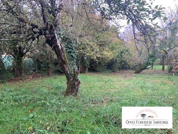 TERRAIN CONSTRUCTIBLE MEDIS