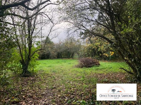 TERRAIN CONSTRUCTIBLE MEDIS