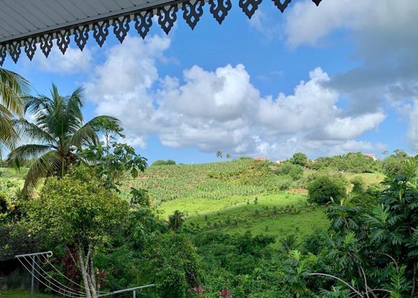 IMMEUBLE DE RAPPORT 400 m2 - 16 PIÈCES - 7 APPARTEMENTS LOUÉS - LOYERS 68100€/AN - TERRAIN DE 2996 m2 - TRÈS GROS POTENTIEL - IDÉAL INVESTISSEUR.