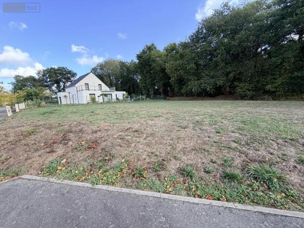 Achat - Terrain à bâtir Pluneret 56400 590 m 2