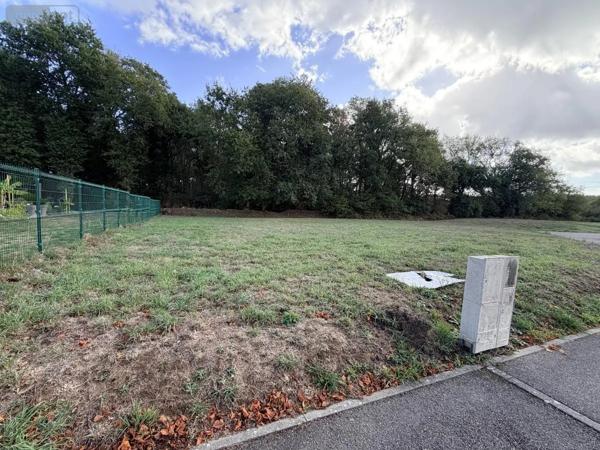 Achat - Terrain à bâtir Pluneret 56400 590 m 2
