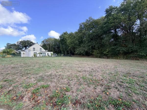 Achat - Terrain à bâtir Pluneret 56400 590 m 2