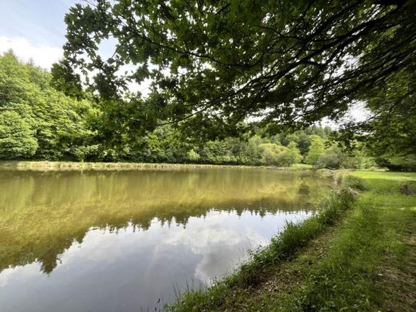 Terrain à vendre |  Bussière-Galant |  14580 m²