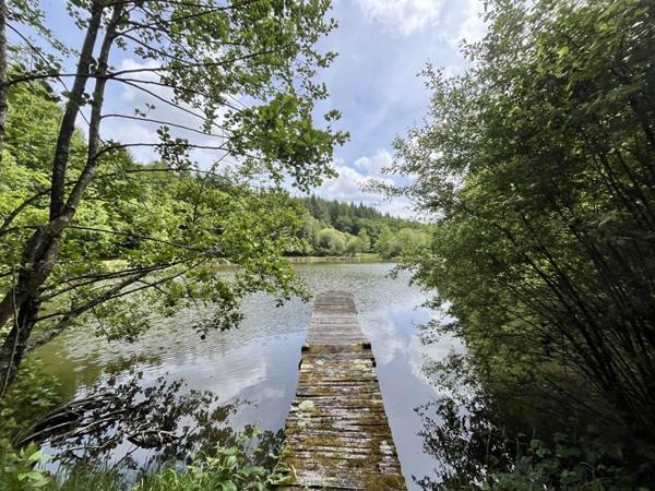 Terrain à vendre |  Bussière-Galant |  14580 m²