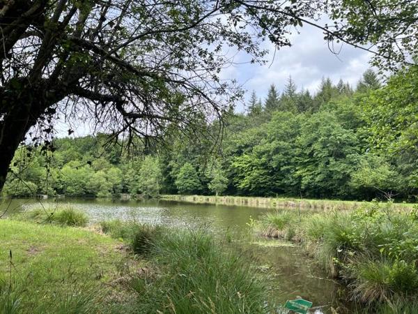 Terrain à vendre |  Bussière-Galant |  14580 m²