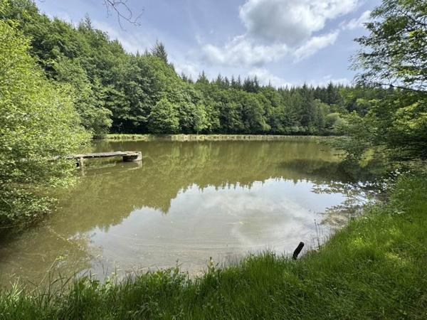 Terrain à vendre |  Bussière-Galant |  14580 m²