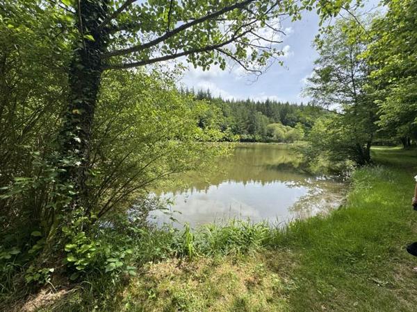 Terrain à vendre |  Bussière-Galant |  14580 m²