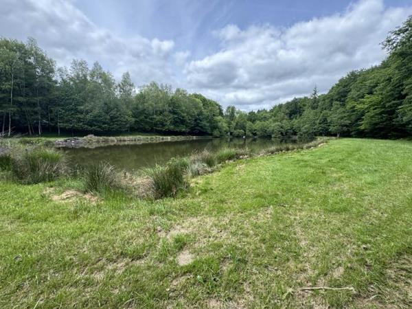 Terrain à vendre |  Bussière-Galant |  14580 m²