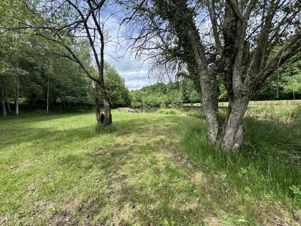 Terrain à vendre |  Bussière-Galant |  14580 m²