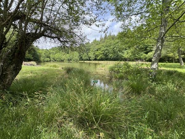 Terrain à vendre |  Bussière-Galant |  14580 m²