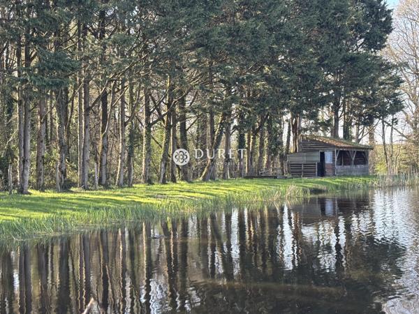 Etang à vendre, 9863 m² - Montrevault-sur-Èvre 49600