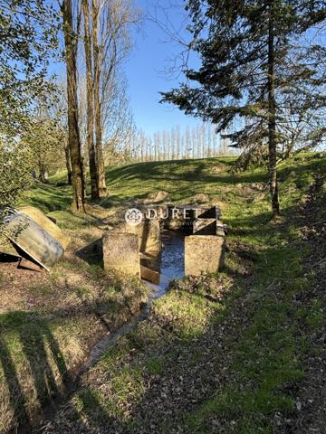 Etang à vendre, 9863 m² - Montrevault-sur-Èvre 49600