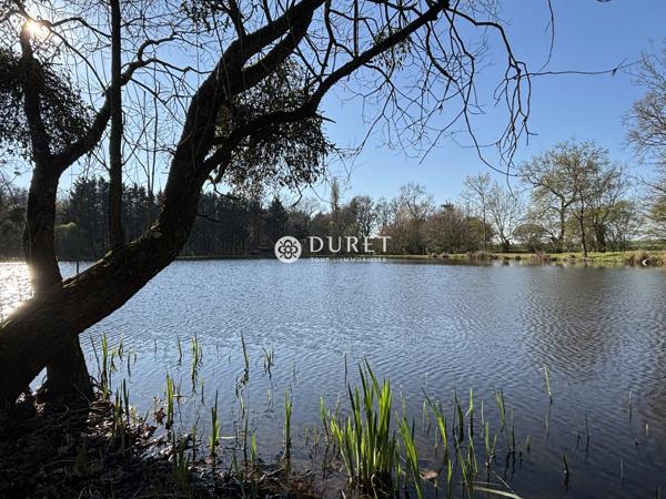 Etang à vendre, 9863 m² - Montrevault-sur-Èvre 49600