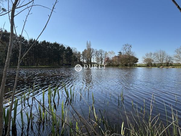 Etang à vendre, 9863 m² - Montrevault-sur-Èvre 49600