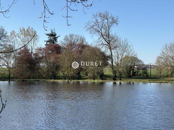 Etang à vendre, 9863 m² - Montrevault-sur-Èvre 49600