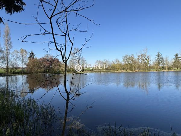 Etang à vendre, 9863 m² - Montrevault-sur-Èvre 49600