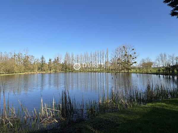 Etang à vendre, 9863 m² - Montrevault-sur-Èvre 49600