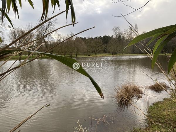 Etang à vendre, 9863 m² - Montrevault-sur-Èvre 49600