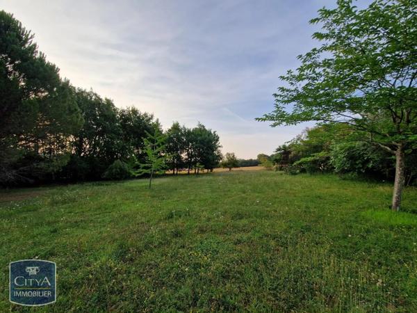 Terrain à vendre 3250m²