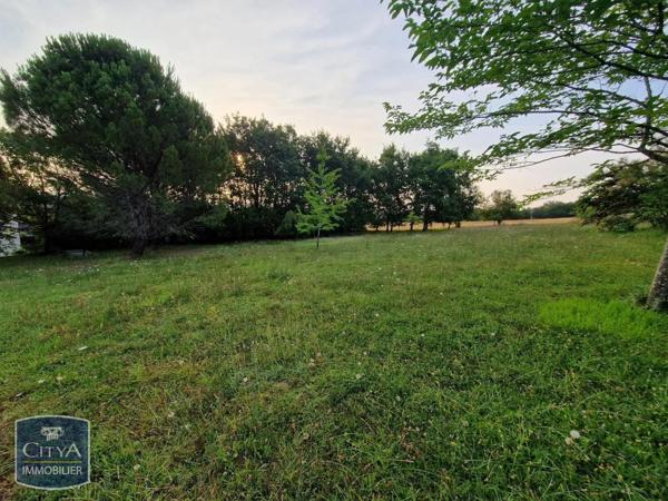 Terrain à vendre 3250m²