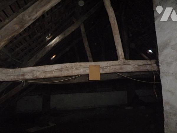 Maison 3 pièces à rénover, dépendances, terrain.