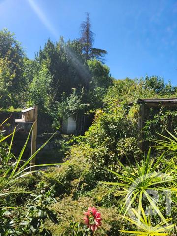 Maison à vendre  3 pièces - 59,71 m 2   VABRE  - 81
