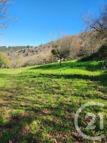 Maison à vendre  3 pièces - 59,71 m 2   VABRE  - 81