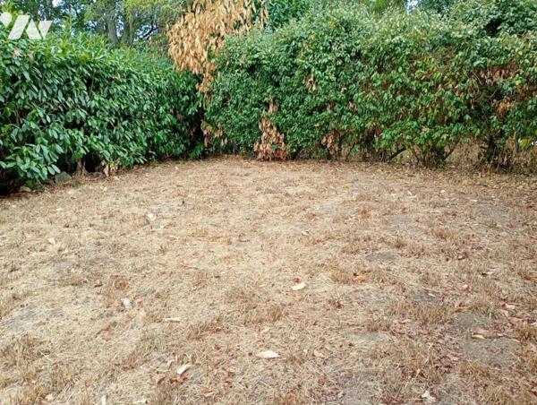 VIGNEUX-DE-BRETAGNE - Plain-pied d'env. 61m², une chambre, terrain de 1.474m²