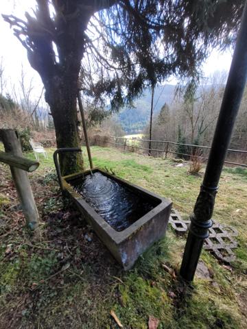 Metzeral (68380) Bien d'exception : deux chalets en pleine nature