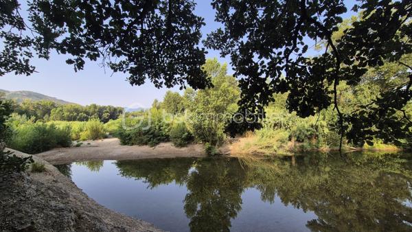 Là où la nature devient un art de vivre…
Il existe des lieux qui ne se racontent pas… ils se vivent.

À l'abri des regards, au cœur d'un environnement préservé, ce superbe mas de caractère d'environ 170 m², implanté sur une parcelle agricole entièrement clôturée, offre un cadre de vie tout simplement exceptionnel.
Dès votre arrivée, le charme opère.
Le portail s'ouvre sur une majestueuse allée bordée d'une vingtaine d'oliviers centenaires, comme un chemin menant vers un lieu hors du temps.

La maison dévoile ensuite de beaux volumes baignés de lumière.
Le vaste hall d'entrée dessert une élégante pièce de vie où la cheminée devient naturellement le cœur de la maison. Les larges ouvertures prolongent l'espace vers une terrasse de près de 40 m², véritable balcon sur la nature, offrant une vue imprenable sur le massif des Albères.
À côté, un salon plus intimiste invite à la lecture, aux soirées d'hiver ou simplement à profiter du calme environnant.
La cuisine indépendante, ouverte elle aussi sur la terrasse, permet de partager des repas en famille ou entre amis dans un décor digne d'une carte postale.
Le rez-de-chaussée accueille également trois chambres avec placards, une salle d'eau ainsi qu'un toilette indépendant.

À l'étage, trois nouvelles chambres complètent l'ensemble, dont une pouvant devenir un magnifique bureau, un atelier d'artiste ou une suite selon vos envies.
Sa terrasse privative offre un panorama absolument saisissant, où les Albères semblent s'inviter chaque matin à votre fenêtre.

À l'extérieur, la propriété continue de dévoiler toute sa singularité.
Un verger généreux, un potager cultivé en agriculture biologique, un poulailler, un pigeonnier, une cave à vin, un garage de 28 m² ainsi que de vastes espaces permettant de stationner de nombreux véhicules viennent compléter ce lieu pensé pour les amoureux d'espace et d'authenticité.
Mais ce qui rend cette propriété véritablement unique se découvre un peu plus loin…
Attenante au mas, une magnifique forêt privée de chênes, classée en zone naturelle, vous appartient.
Ses chemins, soigneusement entretenus, invitent à la promenade.
Vous y découvrirez deux grottes, dont une entièrement naturelle, ainsi qu'un accès direct à la rivière Le Tech.
Un privilège rare.
Un environnement sauvage, préservé et profondément apaisant où la nature s'exprime dans toute sa splendeur.

Les prestations
• Climatisation réversible
• Cheminée
• Garage de 28 m²
• Cave à vin
• Fosse septique
• Canal d'irrigation
• Arrosage goutte-à-goutte et asperseurs
• Poulailler
• Pigeonnier
• Nombreuses possibilités de stationnement
. 9411 m2 de terrain au total

Pour une parfaite transparence, un dossier complet d'expertises concernant la forêt et sa sécurité a été réalisé par un expert mandaté par les assurances et sera remis aux futurs acquéreurs.

Cette propriété ne s'adresse pas à ceux qui cherchent simplement une maison.
Elle séduira ceux qui recherchent un art de vivre. idéale pour une famille en résidence principale ou secondaire.
Un lieu où l'on reçoit sa famille sous les oliviers, où l'on cueille les fruits du verger, où l'on emprunte un sentier privé jusqu'à la rivière, et où chaque journée rappelle combien la nature est un luxe.
Une propriété confidentielle, authentique et profondément inspirante.

Je reste à votre disposition pour toutes informations.