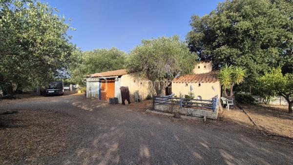 Là où la nature devient un art de vivre…
Il existe des lieux qui ne se racontent pas… ils se vivent.

À l'abri des regards, au cœur d'un environnement préservé, ce superbe mas de caractère d'environ 170 m², implanté sur une parcelle agricole entièrement clôturée, offre un cadre de vie tout simplement exceptionnel.
Dès votre arrivée, le charme opère.
Le portail s'ouvre sur une majestueuse allée bordée d'une vingtaine d'oliviers centenaires, comme un chemin menant vers un lieu hors du temps.

La maison dévoile ensuite de beaux volumes baignés de lumière.
Le vaste hall d'entrée dessert une élégante pièce de vie où la cheminée devient naturellement le cœur de la maison. Les larges ouvertures prolongent l'espace vers une terrasse de près de 40 m², véritable balcon sur la nature, offrant une vue imprenable sur le massif des Albères.
À côté, un salon plus intimiste invite à la lecture, aux soirées d'hiver ou simplement à profiter du calme environnant.
La cuisine indépendante, ouverte elle aussi sur la terrasse, permet de partager des repas en famille ou entre amis dans un décor digne d'une carte postale.
Le rez-de-chaussée accueille également trois chambres avec placards, une salle d'eau ainsi qu'un toilette indépendant.

À l'étage, trois nouvelles chambres complètent l'ensemble, dont une pouvant devenir un magnifique bureau, un atelier d'artiste ou une suite selon vos envies.
Sa terrasse privative offre un panorama absolument saisissant, où les Albères semblent s'inviter chaque matin à votre fenêtre.

À l'extérieur, la propriété continue de dévoiler toute sa singularité.
Un verger généreux, un potager cultivé en agriculture biologique, un poulailler, un pigeonnier, une cave à vin, un garage de 28 m² ainsi que de vastes espaces permettant de stationner de nombreux véhicules viennent compléter ce lieu pensé pour les amoureux d'espace et d'authenticité.
Mais ce qui rend cette propriété véritablement unique se découvre un peu plus loin…
Attenante au mas, une magnifique forêt privée de chênes, classée en zone naturelle, vous appartient.
Ses chemins, soigneusement entretenus, invitent à la promenade.
Vous y découvrirez deux grottes, dont une entièrement naturelle, ainsi qu'un accès direct à la rivière Le Tech.
Un privilège rare.
Un environnement sauvage, préservé et profondément apaisant où la nature s'exprime dans toute sa splendeur.

Les prestations
• Climatisation réversible
• Cheminée
• Garage de 28 m²
• Cave à vin
• Fosse septique
• Canal d'irrigation
• Arrosage goutte-à-goutte et asperseurs
• Poulailler
• Pigeonnier
• Nombreuses possibilités de stationnement
. 9411 m2 de terrain au total

Pour une parfaite transparence, un dossier complet d'expertises concernant la forêt et sa sécurité a été réalisé par un expert mandaté par les assurances et sera remis aux futurs acquéreurs.

Cette propriété ne s'adresse pas à ceux qui cherchent simplement une maison.
Elle séduira ceux qui recherchent un art de vivre. idéale pour une famille en résidence principale ou secondaire.
Un lieu où l'on reçoit sa famille sous les oliviers, où l'on cueille les fruits du verger, où l'on emprunte un sentier privé jusqu'à la rivière, et où chaque journée rappelle combien la nature est un luxe.
Une propriété confidentielle, authentique et profondément inspirante.

Je reste à votre disposition pour toutes informations.