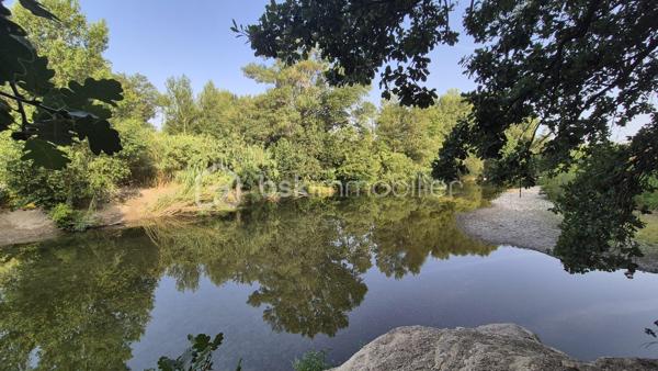 Là où la nature devient un art de vivre…
Il existe des lieux qui ne se racontent pas… ils se vivent.

À l'abri des regards, au cœur d'un environnement préservé, ce superbe mas de caractère d'environ 170 m², implanté sur une parcelle agricole entièrement clôturée, offre un cadre de vie tout simplement exceptionnel.
Dès votre arrivée, le charme opère.
Le portail s'ouvre sur une majestueuse allée bordée d'une vingtaine d'oliviers centenaires, comme un chemin menant vers un lieu hors du temps.

La maison dévoile ensuite de beaux volumes baignés de lumière.
Le vaste hall d'entrée dessert une élégante pièce de vie où la cheminée devient naturellement le cœur de la maison. Les larges ouvertures prolongent l'espace vers une terrasse de près de 40 m², véritable balcon sur la nature, offrant une vue imprenable sur le massif des Albères.
À côté, un salon plus intimiste invite à la lecture, aux soirées d'hiver ou simplement à profiter du calme environnant.
La cuisine indépendante, ouverte elle aussi sur la terrasse, permet de partager des repas en famille ou entre amis dans un décor digne d'une carte postale.
Le rez-de-chaussée accueille également trois chambres avec placards, une salle d'eau ainsi qu'un toilette indépendant.

À l'étage, trois nouvelles chambres complètent l'ensemble, dont une pouvant devenir un magnifique bureau, un atelier d'artiste ou une suite selon vos envies.
Sa terrasse privative offre un panorama absolument saisissant, où les Albères semblent s'inviter chaque matin à votre fenêtre.

À l'extérieur, la propriété continue de dévoiler toute sa singularité.
Un verger généreux, un potager cultivé en agriculture biologique, un poulailler, un pigeonnier, une cave à vin, un garage de 28 m² ainsi que de vastes espaces permettant de stationner de nombreux véhicules viennent compléter ce lieu pensé pour les amoureux d'espace et d'authenticité.
Mais ce qui rend cette propriété véritablement unique se découvre un peu plus loin…
Attenante au mas, une magnifique forêt privée de chênes, classée en zone naturelle, vous appartient.
Ses chemins, soigneusement entretenus, invitent à la promenade.
Vous y découvrirez deux grottes, dont une entièrement naturelle, ainsi qu'un accès direct à la rivière Le Tech.
Un privilège rare.
Un environnement sauvage, préservé et profondément apaisant où la nature s'exprime dans toute sa splendeur.

Les prestations
• Climatisation réversible
• Cheminée
• Garage de 28 m²
• Cave à vin
• Fosse septique
• Canal d'irrigation
• Arrosage goutte-à-goutte et asperseurs
• Poulailler
• Pigeonnier
• Nombreuses possibilités de stationnement
. 9411 m2 de terrain au total

Pour une parfaite transparence, un dossier complet d'expertises concernant la forêt et sa sécurité a été réalisé par un expert mandaté par les assurances et sera remis aux futurs acquéreurs.

Cette propriété ne s'adresse pas à ceux qui cherchent simplement une maison.
Elle séduira ceux qui recherchent un art de vivre. idéale pour une famille en résidence principale ou secondaire.
Un lieu où l'on reçoit sa famille sous les oliviers, où l'on cueille les fruits du verger, où l'on emprunte un sentier privé jusqu'à la rivière, et où chaque journée rappelle combien la nature est un luxe.
Une propriété confidentielle, authentique et profondément inspirante.

Je reste à votre disposition pour toutes informations.