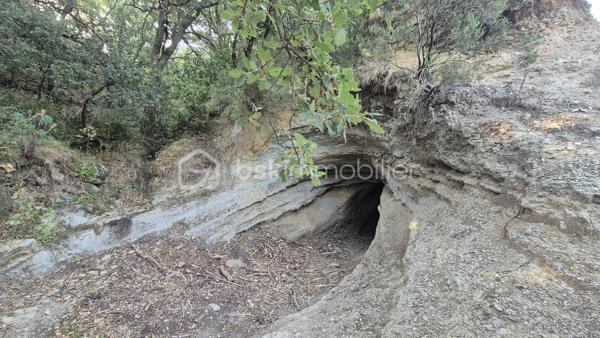 Là où la nature devient un art de vivre…
Il existe des lieux qui ne se racontent pas… ils se vivent.

À l'abri des regards, au cœur d'un environnement préservé, ce superbe mas de caractère d'environ 170 m², implanté sur une parcelle agricole entièrement clôturée, offre un cadre de vie tout simplement exceptionnel.
Dès votre arrivée, le charme opère.
Le portail s'ouvre sur une majestueuse allée bordée d'une vingtaine d'oliviers centenaires, comme un chemin menant vers un lieu hors du temps.

La maison dévoile ensuite de beaux volumes baignés de lumière.
Le vaste hall d'entrée dessert une élégante pièce de vie où la cheminée devient naturellement le cœur de la maison. Les larges ouvertures prolongent l'espace vers une terrasse de près de 40 m², véritable balcon sur la nature, offrant une vue imprenable sur le massif des Albères.
À côté, un salon plus intimiste invite à la lecture, aux soirées d'hiver ou simplement à profiter du calme environnant.
La cuisine indépendante, ouverte elle aussi sur la terrasse, permet de partager des repas en famille ou entre amis dans un décor digne d'une carte postale.
Le rez-de-chaussée accueille également trois chambres avec placards, une salle d'eau ainsi qu'un toilette indépendant.

À l'étage, trois nouvelles chambres complètent l'ensemble, dont une pouvant devenir un magnifique bureau, un atelier d'artiste ou une suite selon vos envies.
Sa terrasse privative offre un panorama absolument saisissant, où les Albères semblent s'inviter chaque matin à votre fenêtre.

À l'extérieur, la propriété continue de dévoiler toute sa singularité.
Un verger généreux, un potager cultivé en agriculture biologique, un poulailler, un pigeonnier, une cave à vin, un garage de 28 m² ainsi que de vastes espaces permettant de stationner de nombreux véhicules viennent compléter ce lieu pensé pour les amoureux d'espace et d'authenticité.
Mais ce qui rend cette propriété véritablement unique se découvre un peu plus loin…
Attenante au mas, une magnifique forêt privée de chênes, classée en zone naturelle, vous appartient.
Ses chemins, soigneusement entretenus, invitent à la promenade.
Vous y découvrirez deux grottes, dont une entièrement naturelle, ainsi qu'un accès direct à la rivière Le Tech.
Un privilège rare.
Un environnement sauvage, préservé et profondément apaisant où la nature s'exprime dans toute sa splendeur.

Les prestations
• Climatisation réversible
• Cheminée
• Garage de 28 m²
• Cave à vin
• Fosse septique
• Canal d'irrigation
• Arrosage goutte-à-goutte et asperseurs
• Poulailler
• Pigeonnier
• Nombreuses possibilités de stationnement
. 9411 m2 de terrain au total

Pour une parfaite transparence, un dossier complet d'expertises concernant la forêt et sa sécurité a été réalisé par un expert mandaté par les assurances et sera remis aux futurs acquéreurs.

Cette propriété ne s'adresse pas à ceux qui cherchent simplement une maison.
Elle séduira ceux qui recherchent un art de vivre. idéale pour une famille en résidence principale ou secondaire.
Un lieu où l'on reçoit sa famille sous les oliviers, où l'on cueille les fruits du verger, où l'on emprunte un sentier privé jusqu'à la rivière, et où chaque journée rappelle combien la nature est un luxe.
Une propriété confidentielle, authentique et profondément inspirante.

Je reste à votre disposition pour toutes informations.