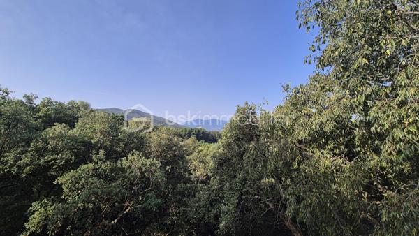Là où la nature devient un art de vivre…
Il existe des lieux qui ne se racontent pas… ils se vivent.

À l'abri des regards, au cœur d'un environnement préservé, ce superbe mas de caractère d'environ 170 m², implanté sur une parcelle agricole entièrement clôturée, offre un cadre de vie tout simplement exceptionnel.
Dès votre arrivée, le charme opère.
Le portail s'ouvre sur une majestueuse allée bordée d'une vingtaine d'oliviers centenaires, comme un chemin menant vers un lieu hors du temps.

La maison dévoile ensuite de beaux volumes baignés de lumière.
Le vaste hall d'entrée dessert une élégante pièce de vie où la cheminée devient naturellement le cœur de la maison. Les larges ouvertures prolongent l'espace vers une terrasse de près de 40 m², véritable balcon sur la nature, offrant une vue imprenable sur le massif des Albères.
À côté, un salon plus intimiste invite à la lecture, aux soirées d'hiver ou simplement à profiter du calme environnant.
La cuisine indépendante, ouverte elle aussi sur la terrasse, permet de partager des repas en famille ou entre amis dans un décor digne d'une carte postale.
Le rez-de-chaussée accueille également trois chambres avec placards, une salle d'eau ainsi qu'un toilette indépendant.

À l'étage, trois nouvelles chambres complètent l'ensemble, dont une pouvant devenir un magnifique bureau, un atelier d'artiste ou une suite selon vos envies.
Sa terrasse privative offre un panorama absolument saisissant, où les Albères semblent s'inviter chaque matin à votre fenêtre.

À l'extérieur, la propriété continue de dévoiler toute sa singularité.
Un verger généreux, un potager cultivé en agriculture biologique, un poulailler, un pigeonnier, une cave à vin, un garage de 28 m² ainsi que de vastes espaces permettant de stationner de nombreux véhicules viennent compléter ce lieu pensé pour les amoureux d'espace et d'authenticité.
Mais ce qui rend cette propriété véritablement unique se découvre un peu plus loin…
Attenante au mas, une magnifique forêt privée de chênes, classée en zone naturelle, vous appartient.
Ses chemins, soigneusement entretenus, invitent à la promenade.
Vous y découvrirez deux grottes, dont une entièrement naturelle, ainsi qu'un accès direct à la rivière Le Tech.
Un privilège rare.
Un environnement sauvage, préservé et profondément apaisant où la nature s'exprime dans toute sa splendeur.

Les prestations
• Climatisation réversible
• Cheminée
• Garage de 28 m²
• Cave à vin
• Fosse septique
• Canal d'irrigation
• Arrosage goutte-à-goutte et asperseurs
• Poulailler
• Pigeonnier
• Nombreuses possibilités de stationnement
. 9411 m2 de terrain au total

Pour une parfaite transparence, un dossier complet d'expertises concernant la forêt et sa sécurité a été réalisé par un expert mandaté par les assurances et sera remis aux futurs acquéreurs.

Cette propriété ne s'adresse pas à ceux qui cherchent simplement une maison.
Elle séduira ceux qui recherchent un art de vivre. idéale pour une famille en résidence principale ou secondaire.
Un lieu où l'on reçoit sa famille sous les oliviers, où l'on cueille les fruits du verger, où l'on emprunte un sentier privé jusqu'à la rivière, et où chaque journée rappelle combien la nature est un luxe.
Une propriété confidentielle, authentique et profondément inspirante.

Je reste à votre disposition pour toutes informations.