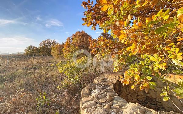 Terrain à vendre    Fourques