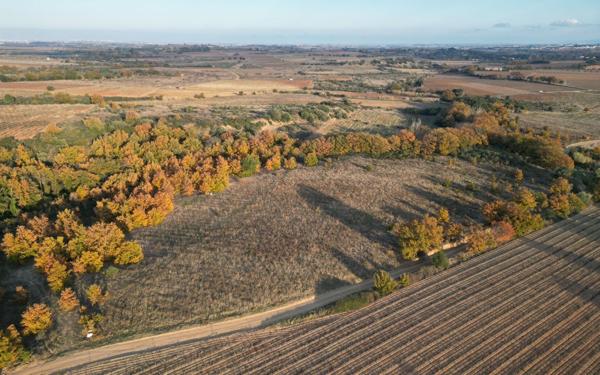 Terrain à vendre    Fourques