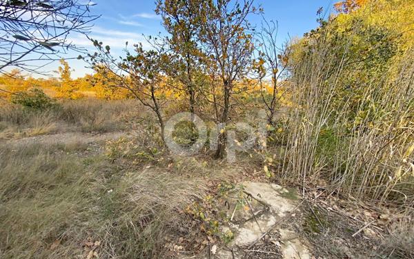 Terrain à vendre    Fourques