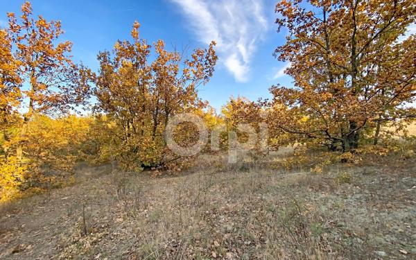 Terrain à vendre    Fourques