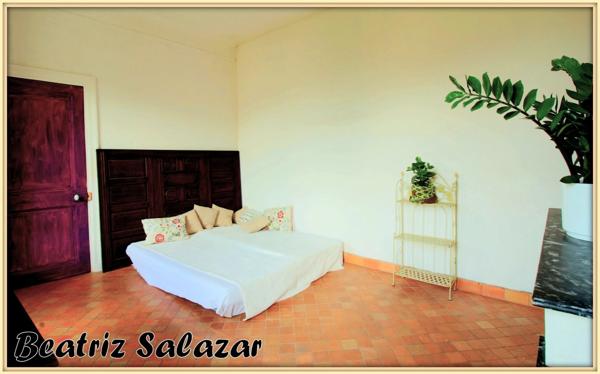 A Digne-les-Bains, dans un quartier central et calme, très bel appartement à rénover de 76m², 2/3 pièces et deux greniers.