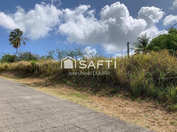 Terrain plat de 1175 m2 au quartier Sans Pareil