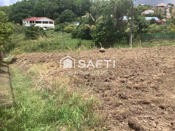Terrain plat de 1175 m2 au quartier Sans Pareil