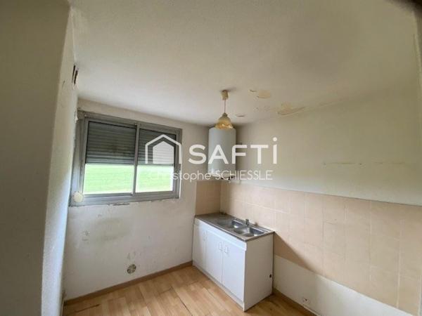 Immeuble complet , 12 appartements, garage et cave
