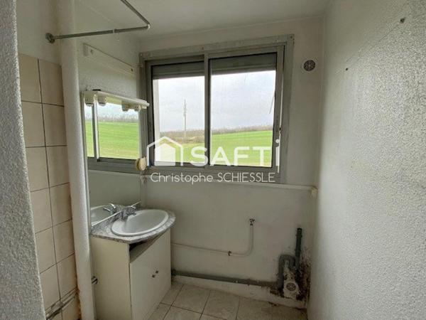 Immeuble complet , 12 appartements, garage et cave