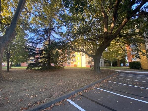 Appartement à louer à Toulouse (31400)