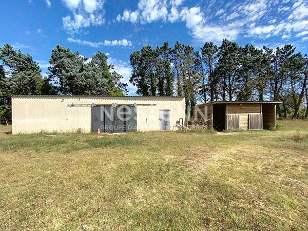 Maison de caractère en campagne avec grand terrain ? Beaucaire
